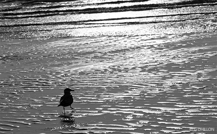 Wet-Feet