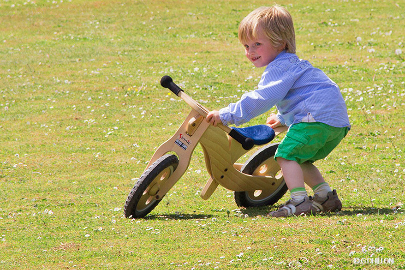 Wooden-Bike